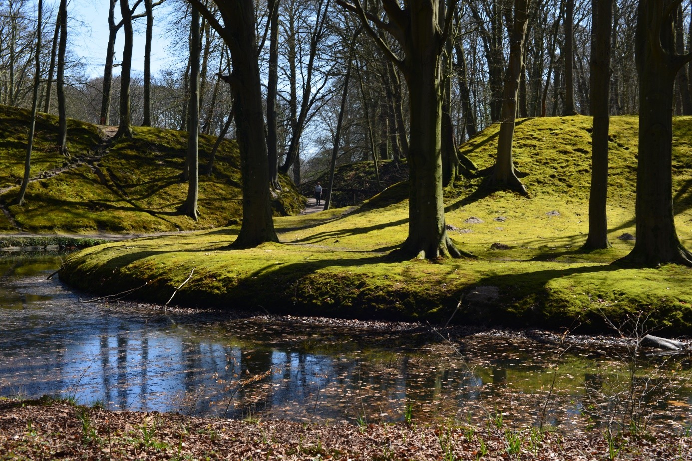 Werkgroep Natuurfotografie