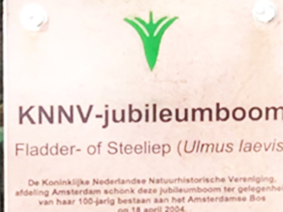 De plaquette bij de Fladderiep is in ere hersteld
