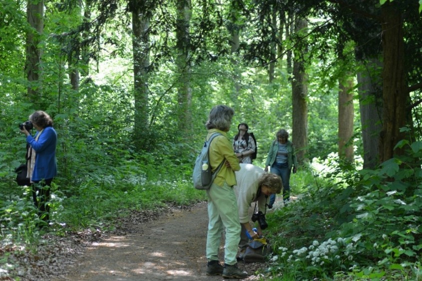 Fotowandeling Fransche Kampheide